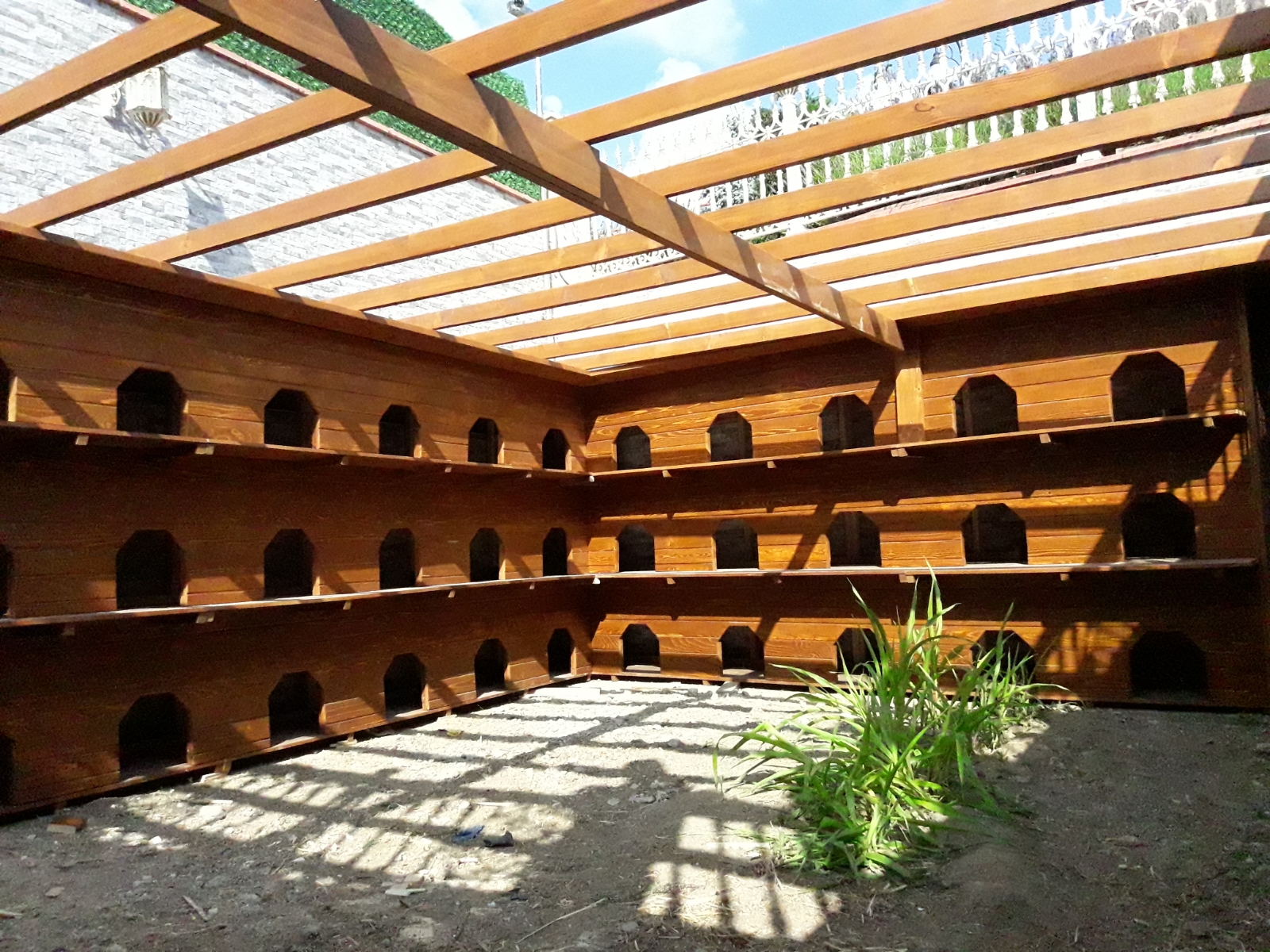 Kümes & Kuş Yuvası