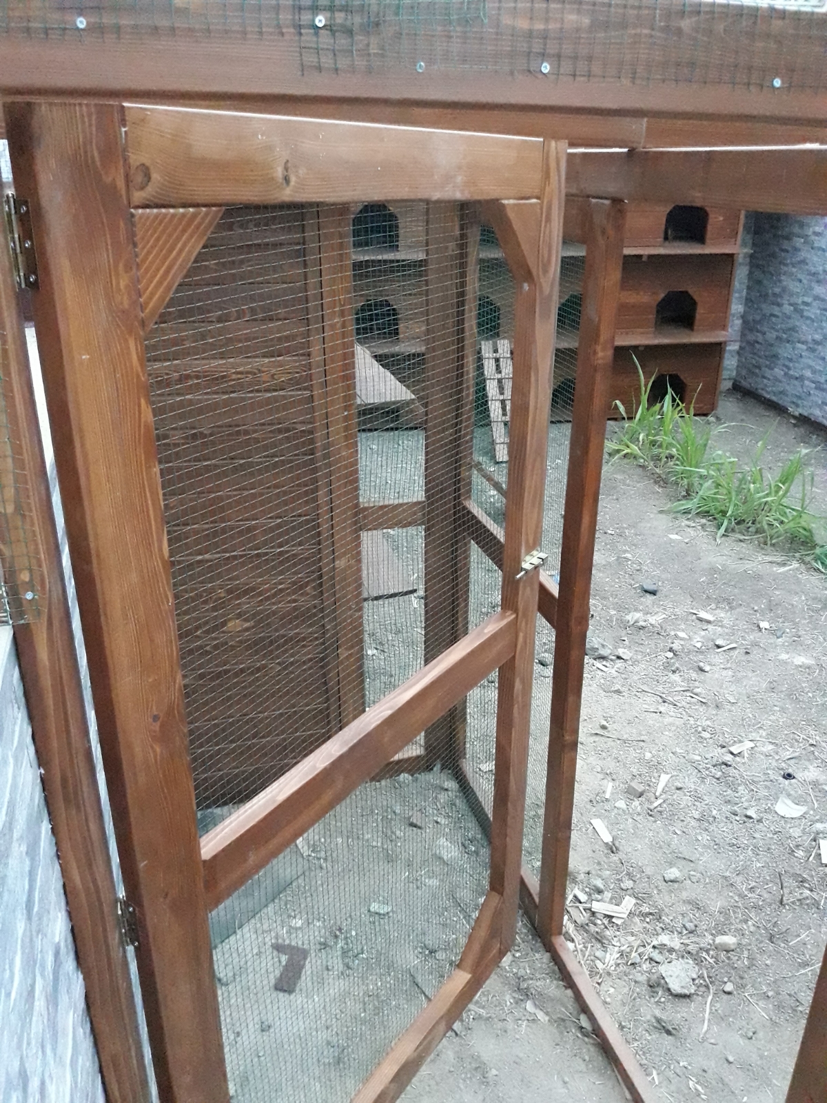 Kümes & Kuş Yuvası