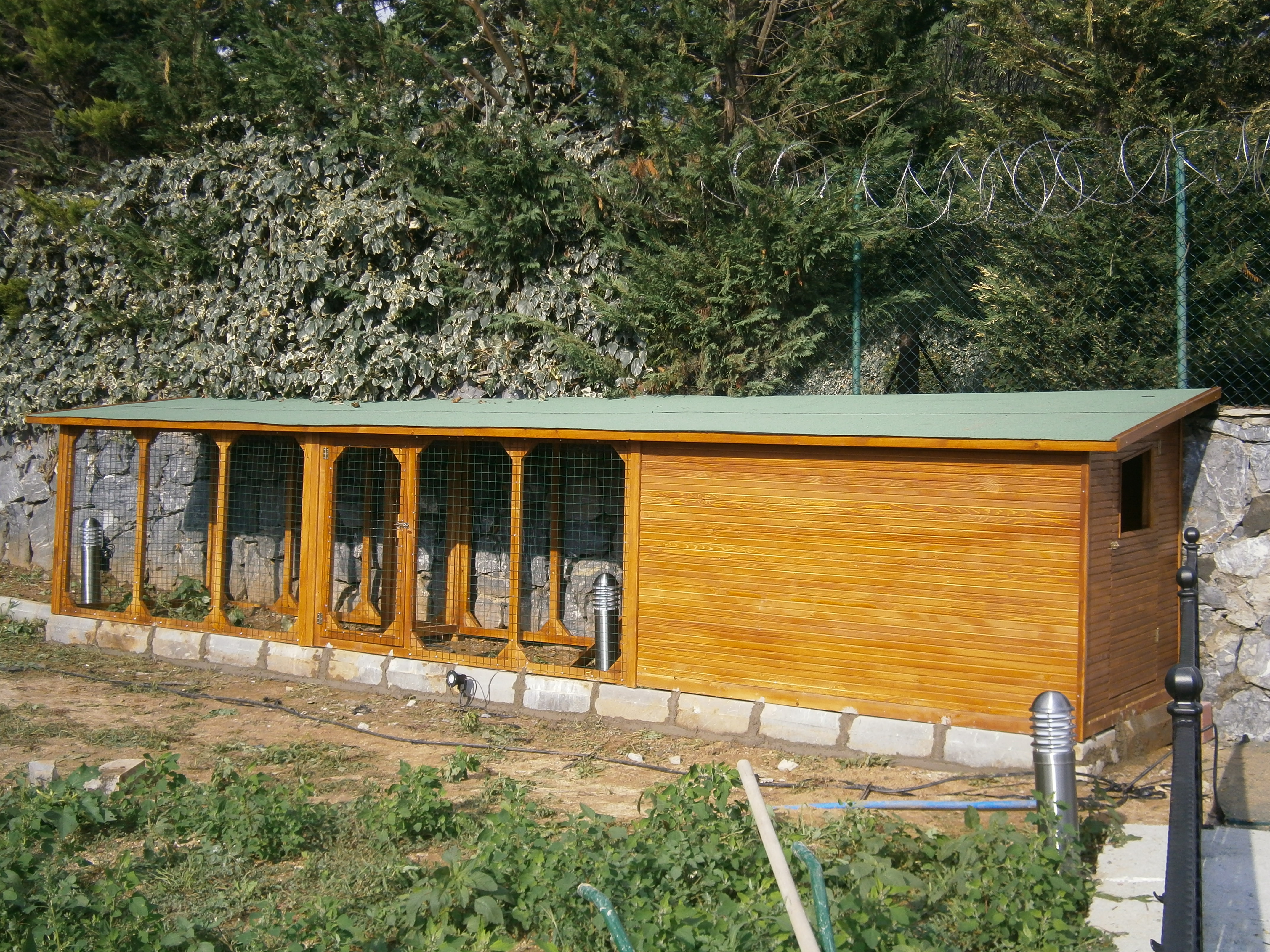 Kümes & Kuş Yuvası