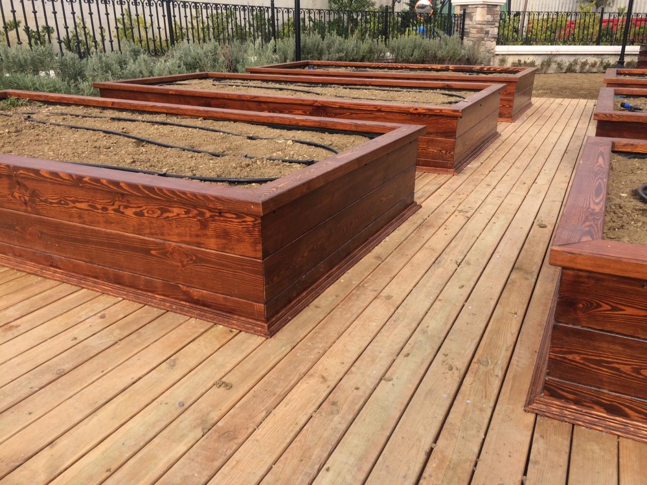 Tasarım Sebze Bahçeleri - Pelikan Hill