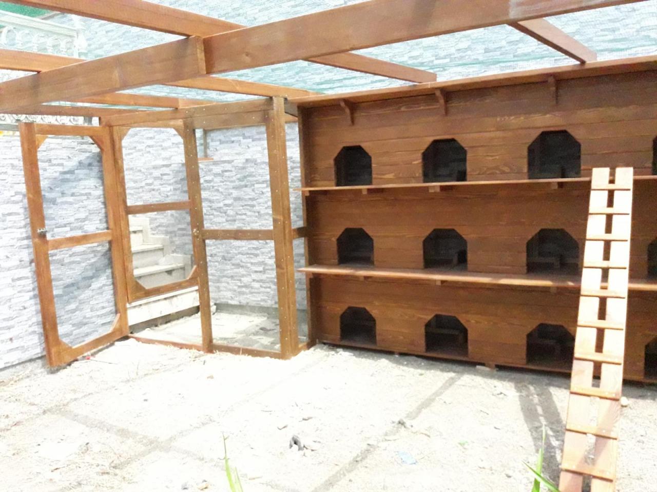 Kış Bahçesi - Pelikan Hill